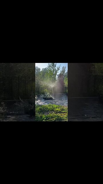 Slight hiccup in the irrigation but overall still working well!