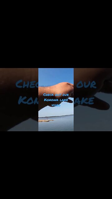 Topwater Frog 🐸 Fishing #topwater #fishing #shorts #fyp #bassfishing