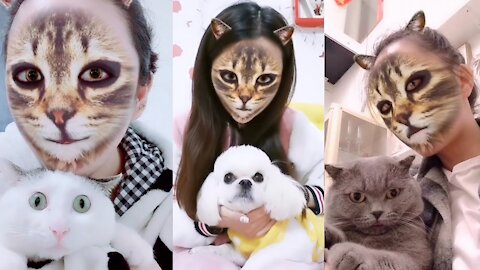 Cat and Dog Reaction to Cat Filter - Funny Cats & Dogs with Cat Filter 2021
