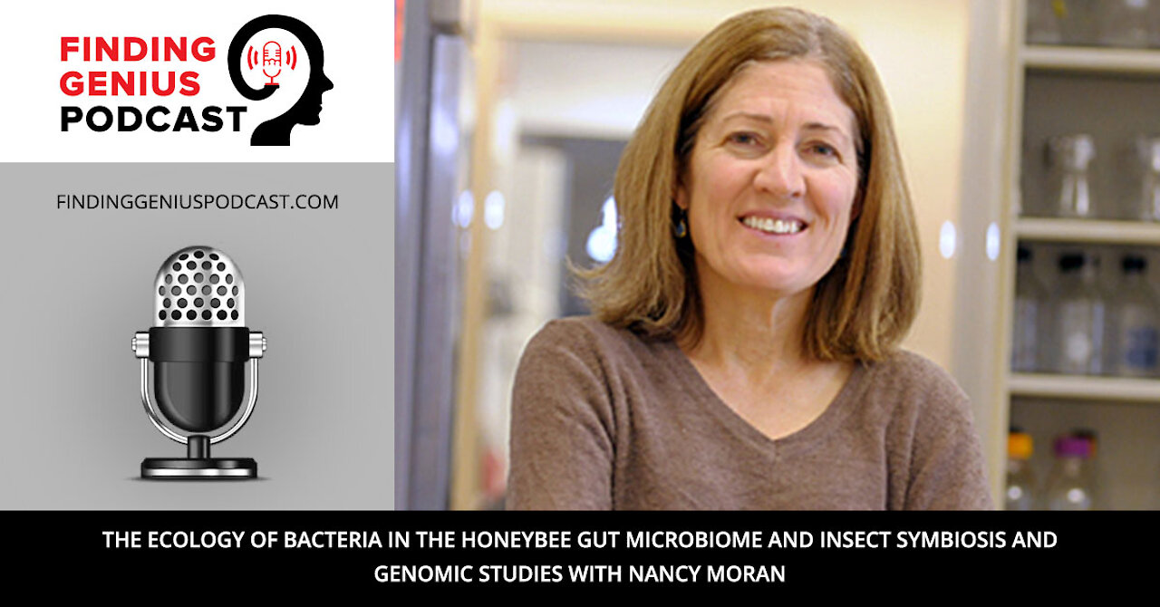 The Ecology of Bacteria in the Honeybee Gut Microbiome