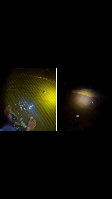 Never walk through flooded waters in Florida!