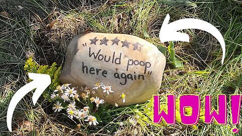 How to Set Up and Tear Down a Camping Toilet in the Woods