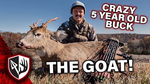 Crazy 5 Year Old Buck - The Goat