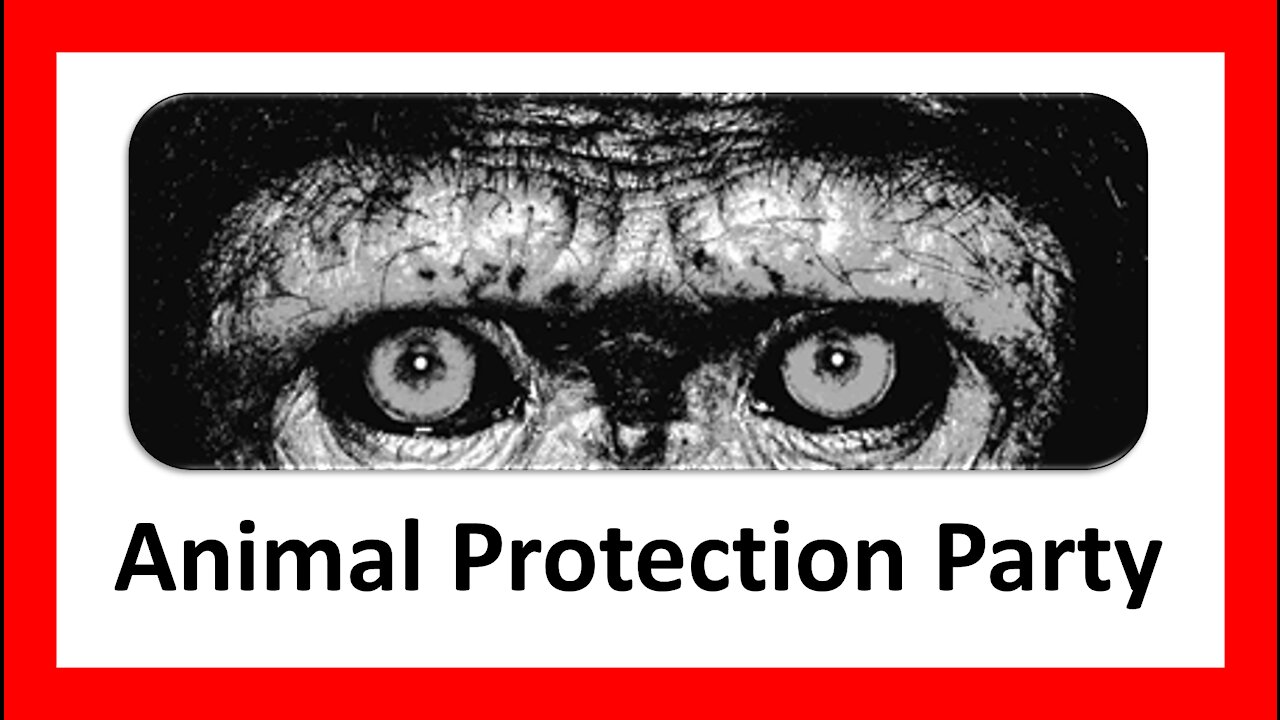 Defunct Parties: Animal Protection Party