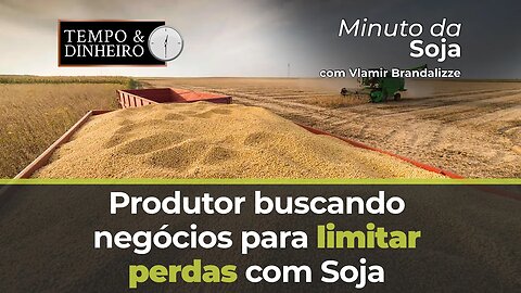 Produtor buscando negócios para limitar perdas com Soja