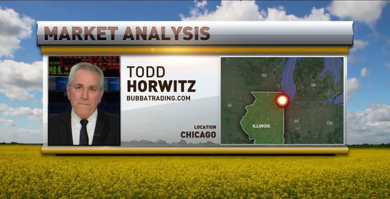 We Continue to Ignore the Obvious - Food Shortages