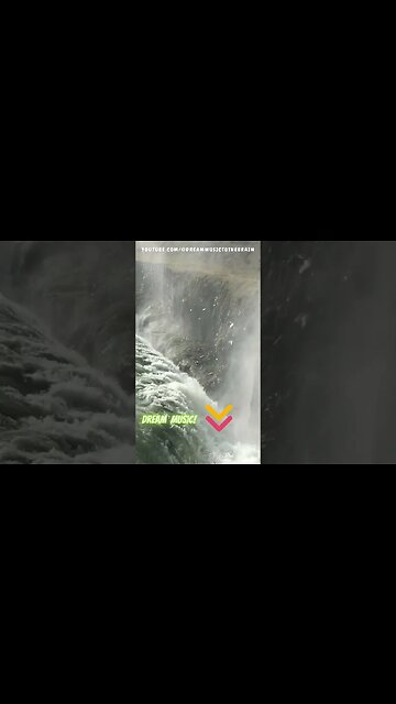 ELIMINA RUIDOS MOLESTOS 24/7: Tropical Rain Sounds #TropicalRain (Music Therapy) #rain