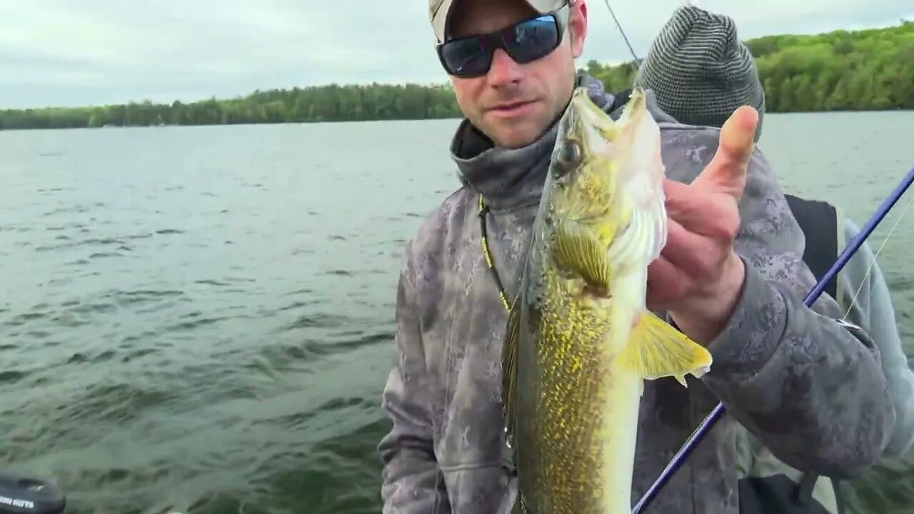 Walleyes on Lake Tomahawk