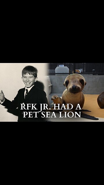 RFK Jr.’s Pets: The Sea Lion