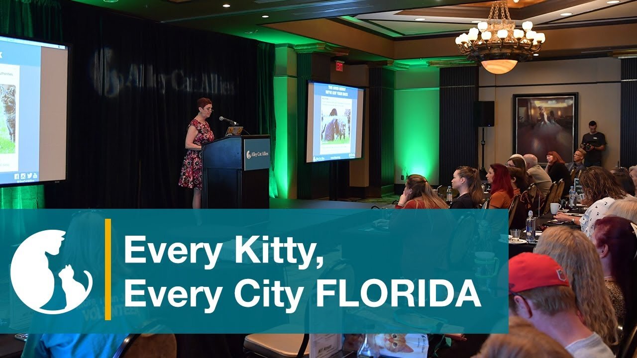 Every Kitty, Every City Florida