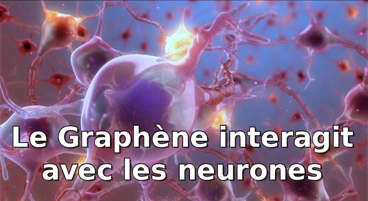 Le graphène parfaitement compatible avec les neurones.