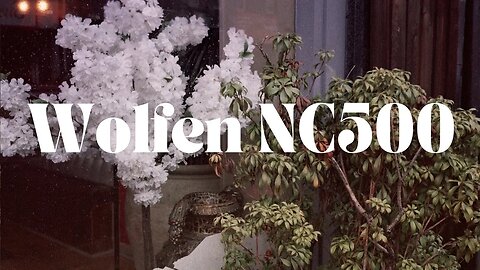 Wolfen NC500 - First Look at Orwo's New Color Film