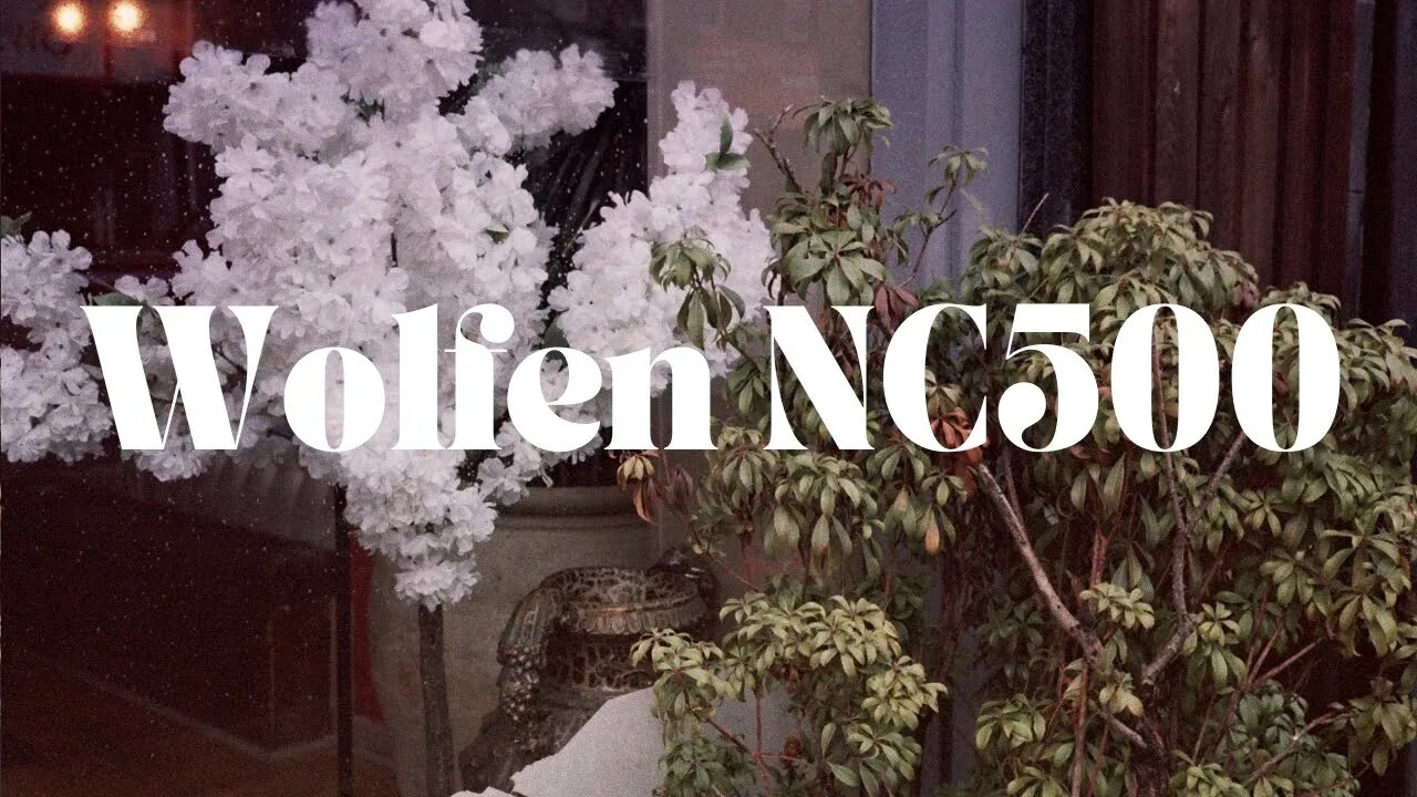 Wolfen NC500 - First Look at Orwo's New Color Film