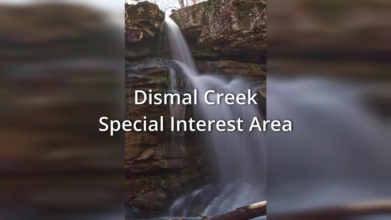 Exploring the Dismal Creek Special Interest Area - Ozark National Forest, Arkansas.