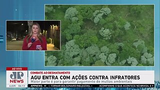 Governo dá entrada a 700 ações contra infratores ambientais