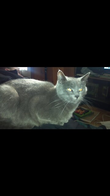 If I burnt your house down" would that be okay?