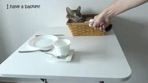 How This Sly Cat Loaf Stole Our Bread Basket