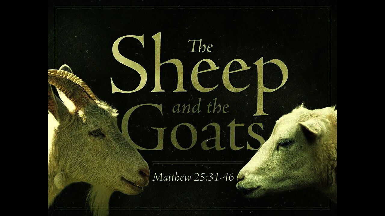 "God does not need your works and your neighbor needs your love" Trinity 26 2019