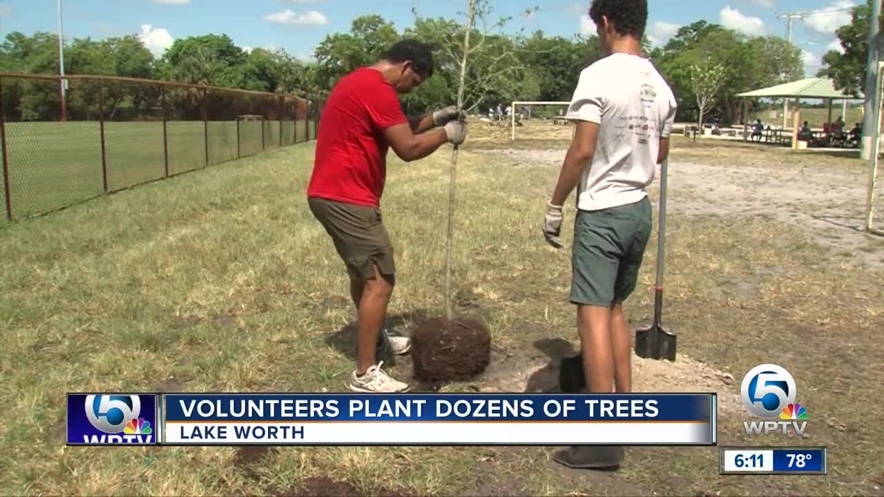 Dozens of trees planted in Lake Worth Beach