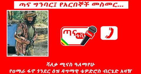 ጣና ግንባር፦ የአርበኞች መስመር የአማራ ፋኖ ጎንደር ዕዝ ዳግማዊ አፄ ቴዎድሮስ ብርጌድ ዋና አዛዥ እና የዕዙ ሀብት አፈላላጊ