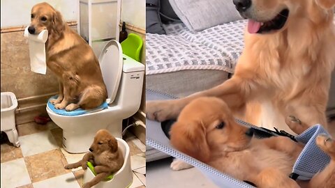 My dog 🥰🥰