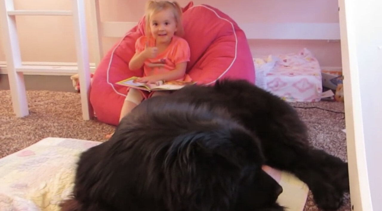 Toddler "reads" Cinderella to her giant dog and it’s hilariously adorable