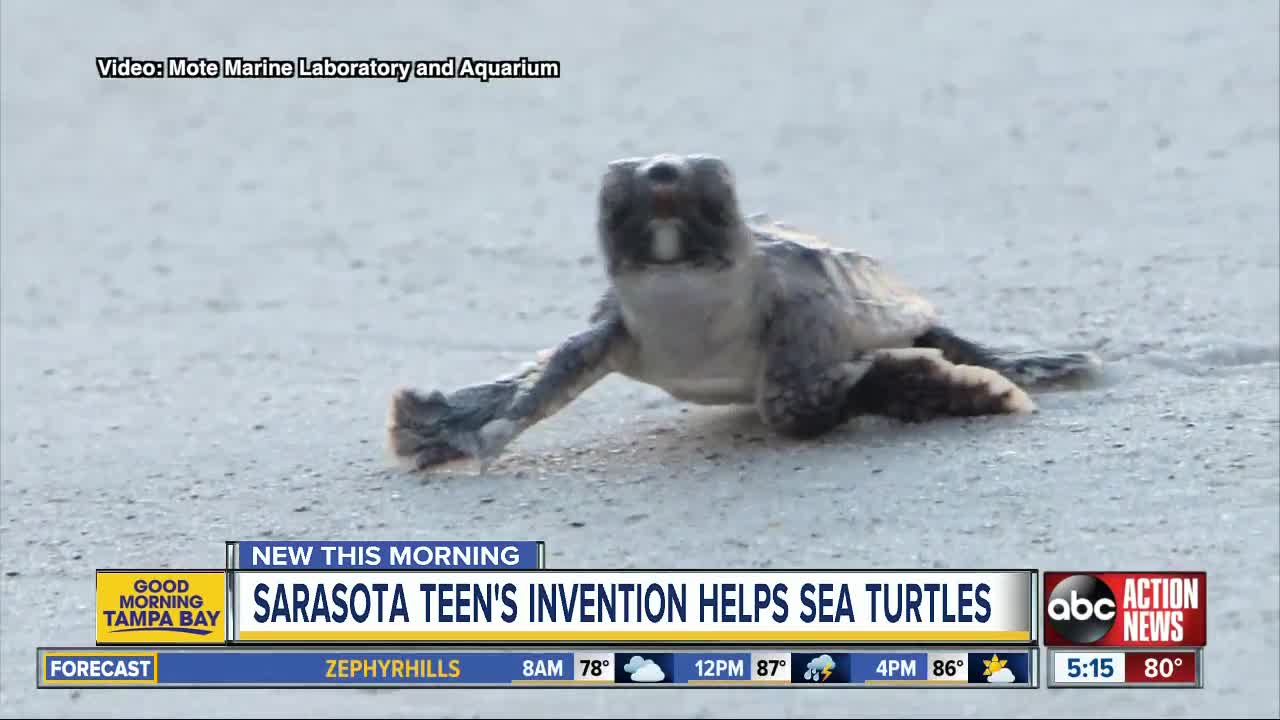 Teen's invention saves turtle hatchlings by keeping beaches clean