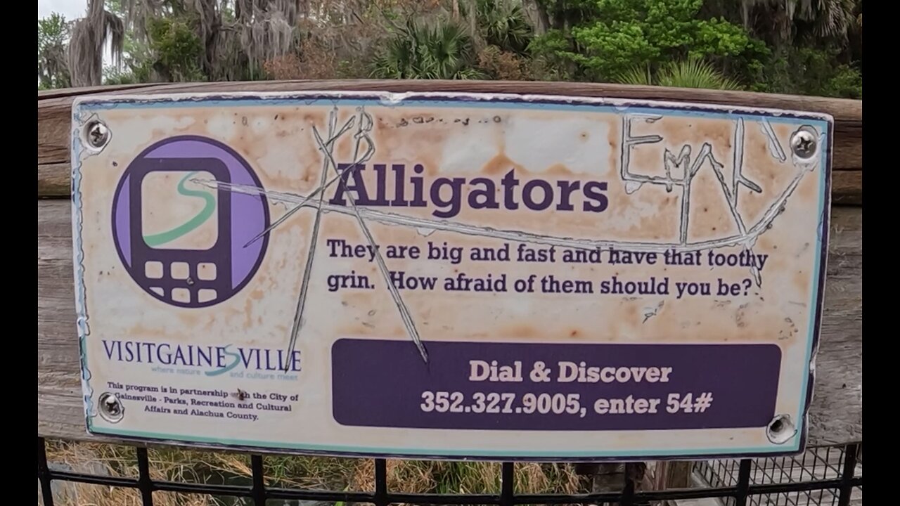 Paynes Prairie State Park, Florida