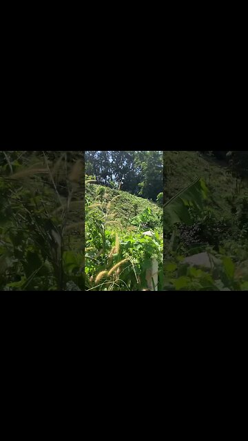 Exhausted after a hike