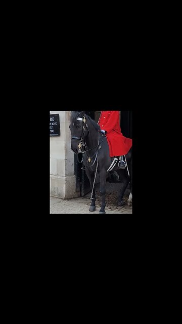 Your Horses chain has come loose #horseguardsparade
