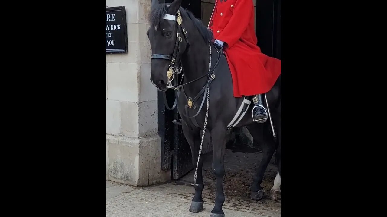 Your Horses chain has come loose #horseguardsparade