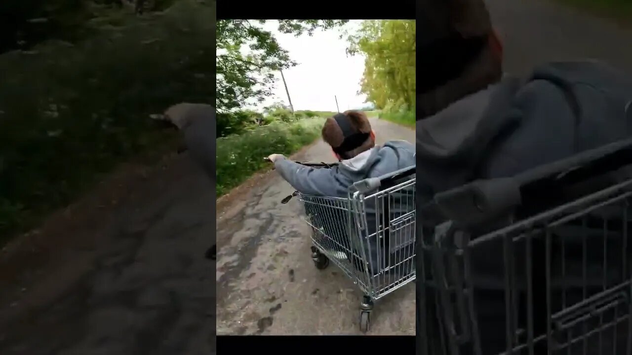 crazy kart shopping trolley goes wrong