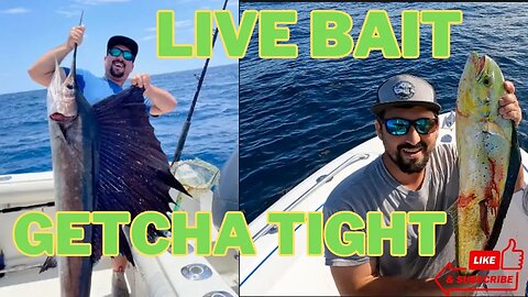 Live Bait Getcha Tight!