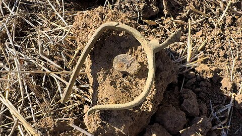 A Spur Of The Moment Metal Detecting