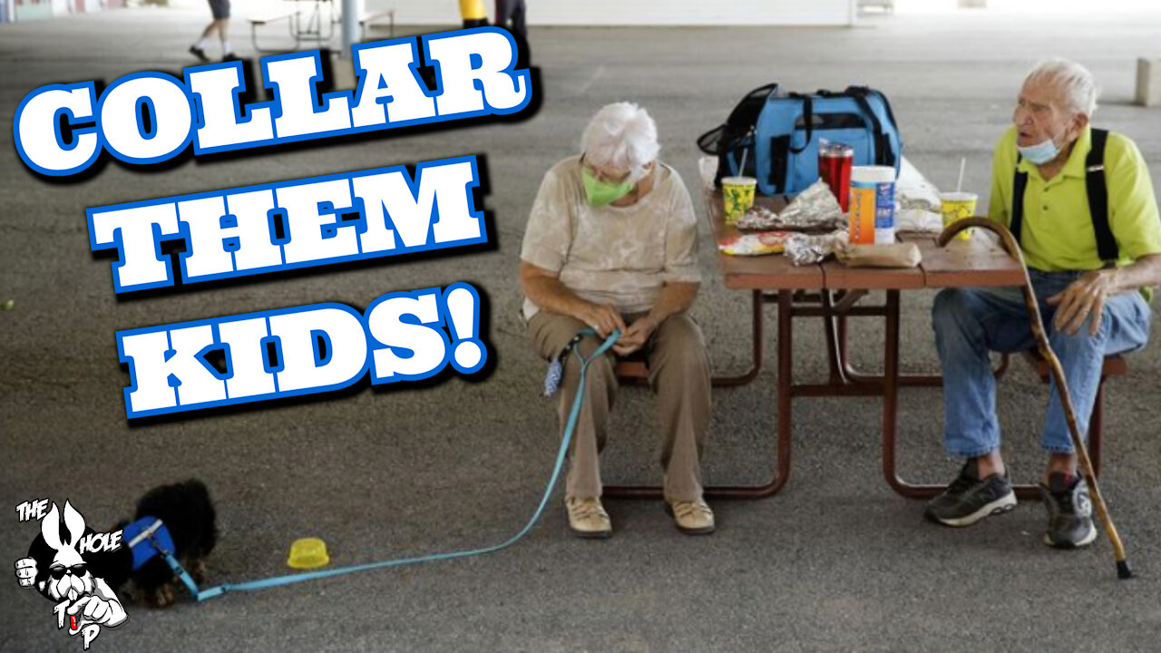 COLLAR THEM KIDS - the Whole Tip Daily