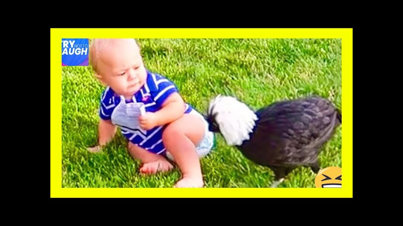 Funny baby playing with animals [ Funny pet videos 2021]