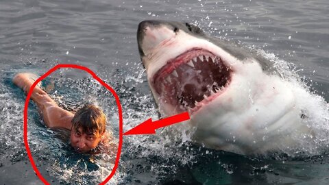 15 Most Dangerous Ultimate Close Calls In the Sea | SeaCreatureSS |