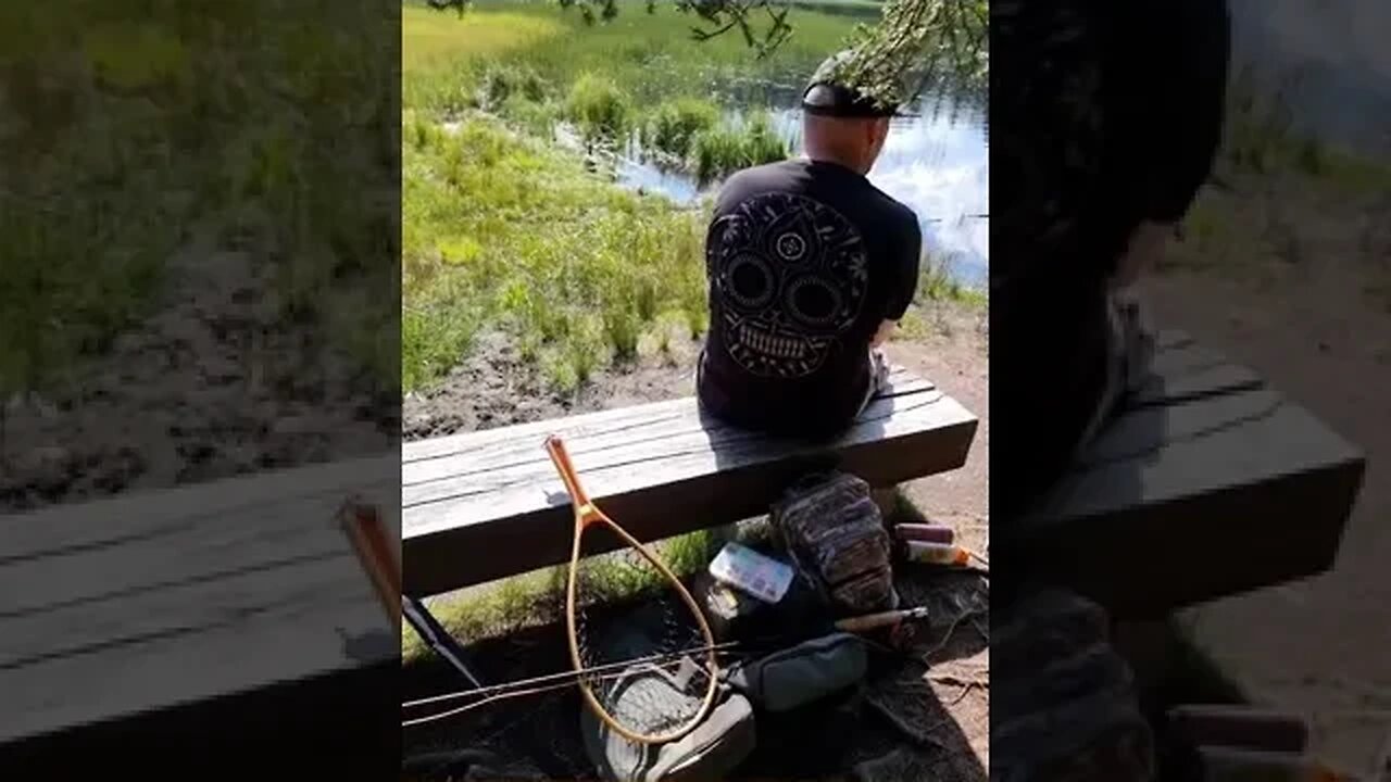 Fly fishing in the mountains, chilling in the shade of a spruce