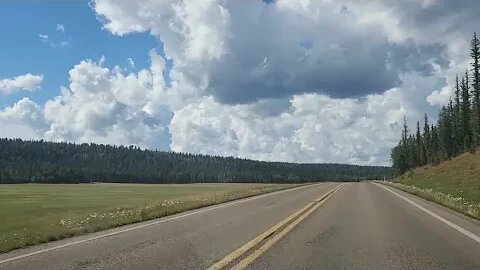 North Rim of the Grand Canyon in summer