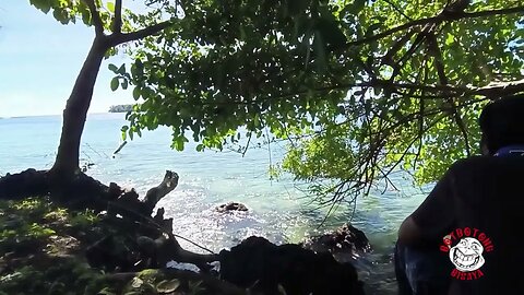 Chillin at the Beautiful Beach in Papua New Guinea. #fypシ #trending #videos #fyi #video #reels