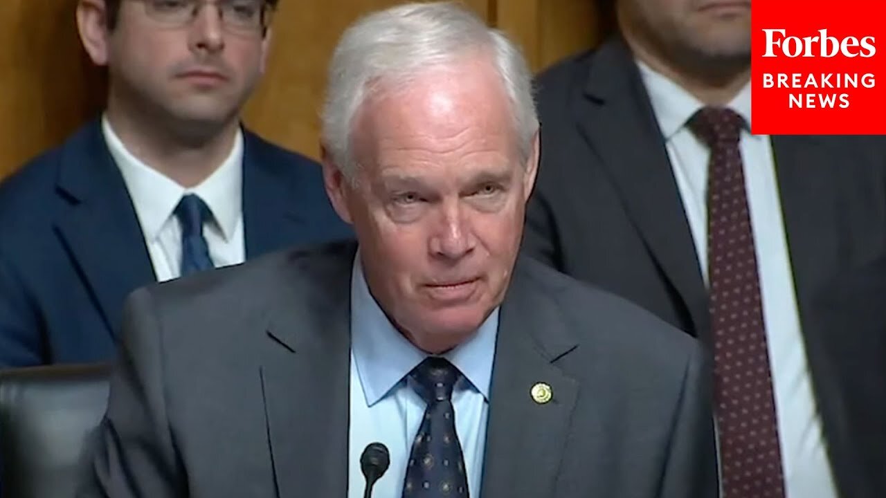 'How Am I Supposed To Interpret That?': Ron Johnson Presses Witnesses About Boeing Reports