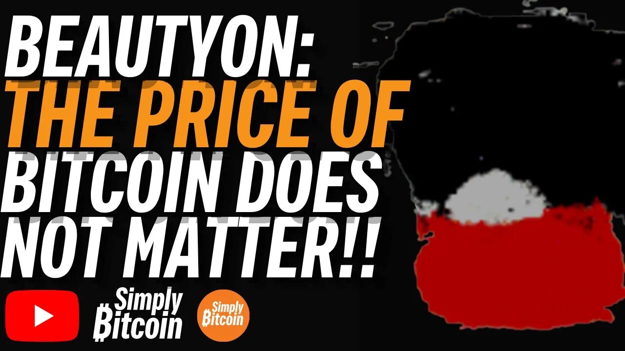 BEAUTYON: The Price of Bitcoin Doesn't Matter. Here's Why ...