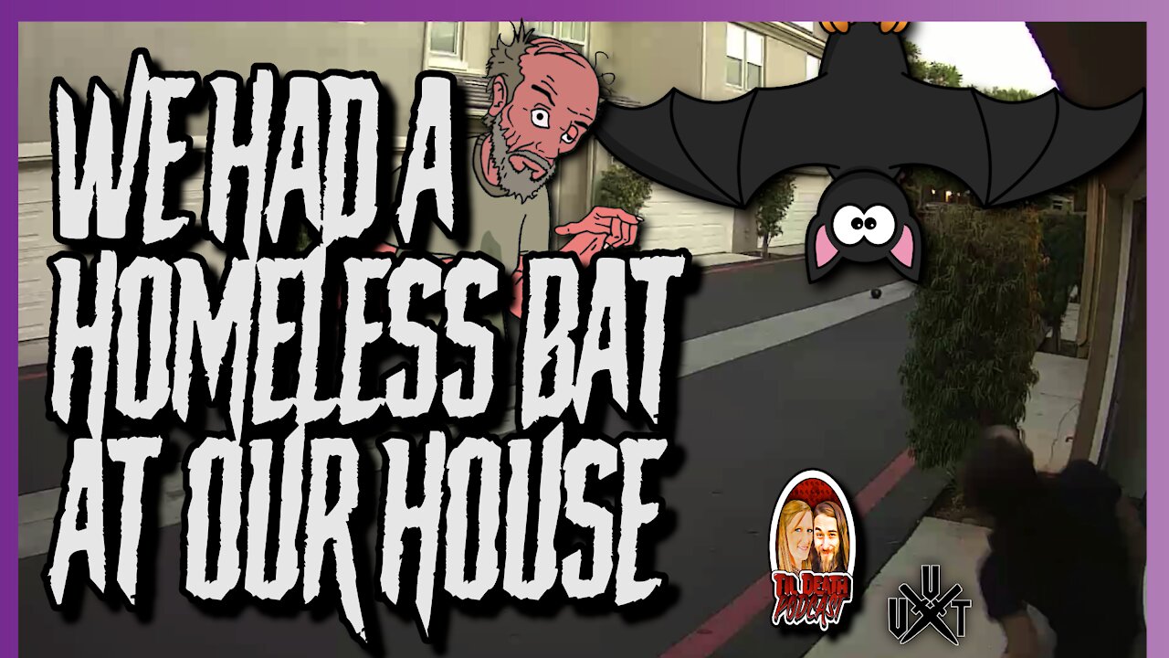 We Had A Homeless Bat in Our House | Til Death Podcast | CLIP | Recorded on 9.11.2021