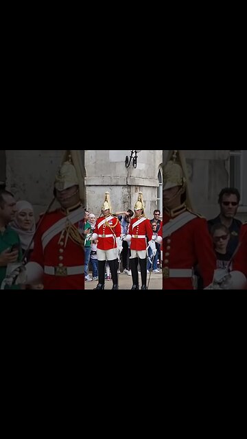 Life guards #horseguardsparade