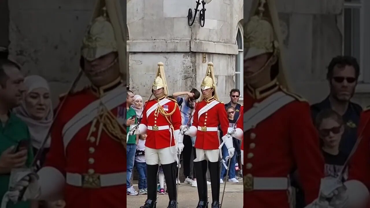 Life guards #horseguardsparade