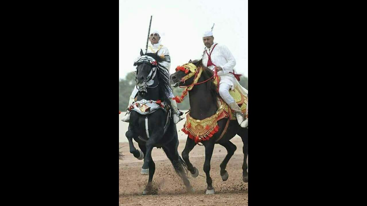 The ancient art of the Amazigh and the oldest peoples to tame horses.