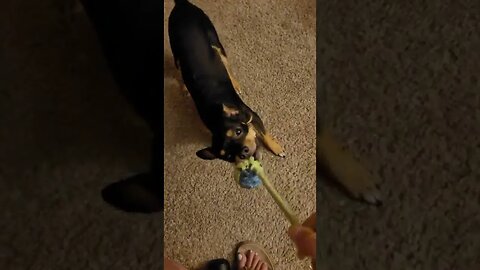 playing