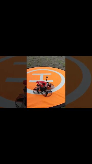 Master Pilot Drone FPV Nih