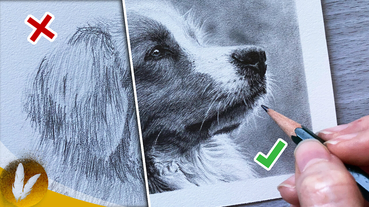 Drawing Realistic Fur Do’s and Don’ts | Step By Step How To Draw Fur Tutorial and Tips