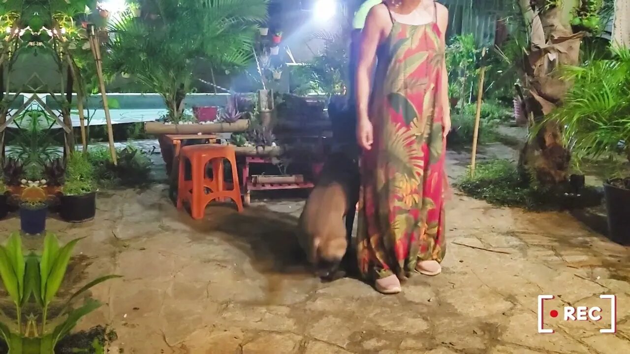 Treino de Proteção Pessoal simulando saque de arma. ß Ø ¥ Å